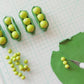 Sweety the Sweet Pea | Pea Magnet or Ornament